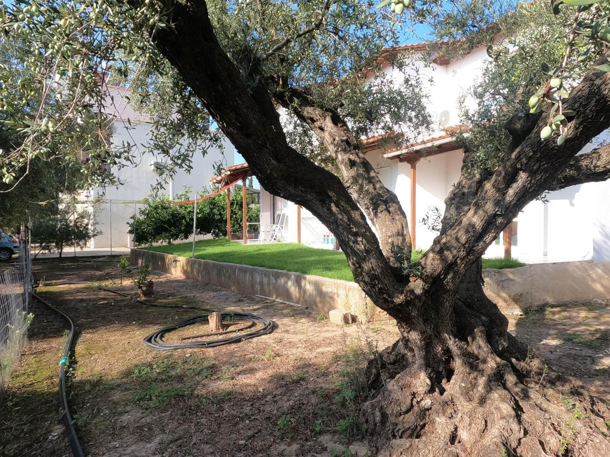Spiti Ostria Villa Aegium Buitenkant foto