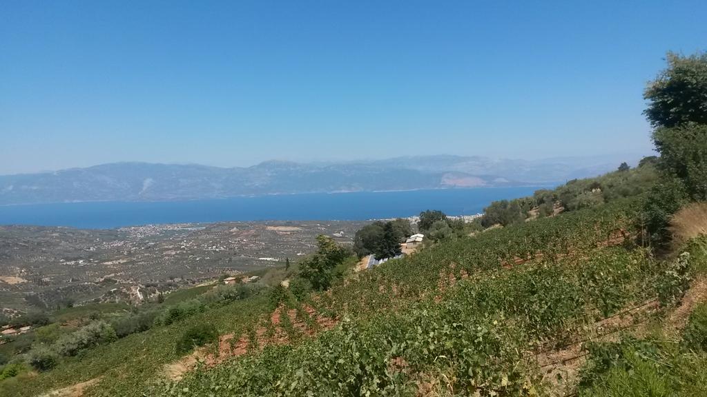 Spiti Ostria Villa Aegium Buitenkant foto